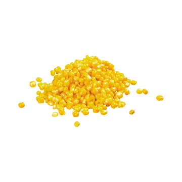 American Corn (Daane)
