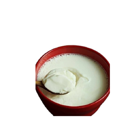 Fresh Dahi (Curd)